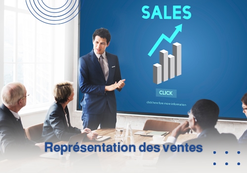 Sales Representation Small