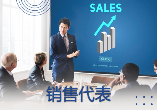 Sales Representation Small